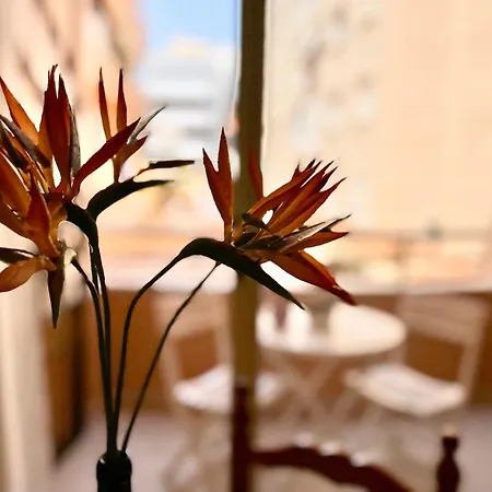 Apartment With A Pool Near Torrevieja
